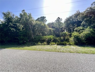Port Charlotte Waterway Lakes Area Lot For Sale in Port Charlotte Florida