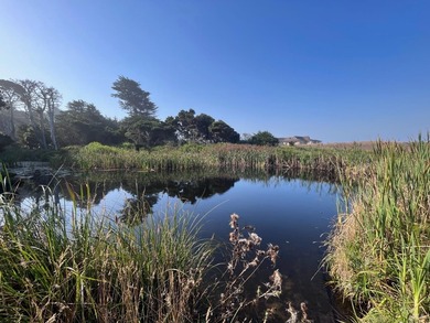 (private lake, pond, coastal) Acreage For Sale in Fort Bragg California