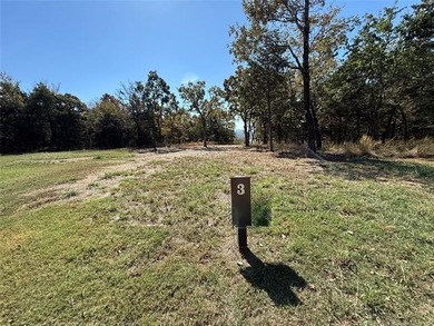 Rustic Waterfront Wildlife Retreat - 21 Acres MOL along the - photo 4
