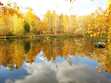 (private lake, pond, creek) Lot For Sale in Saranac New York