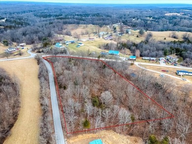 Beautiful, wooded property with mature trees and abundant - photo 2
