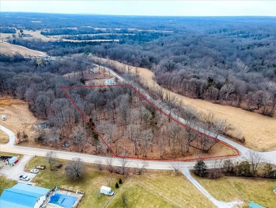 Beautiful, wooded property with mature trees and abundant - photo 5