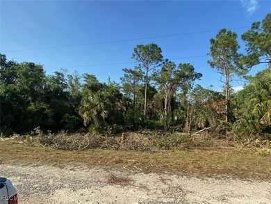 Lehigh Acres Area Lot For Sale in Lehigh Acres Florida
