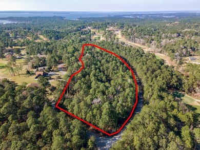 UNRESTRICTED Rayburn Country Area. That's right you read it - photo 1