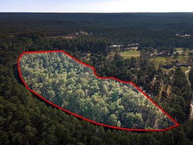 UNRESTRICTED Rayburn Country Area. That's right you read it - photo 7