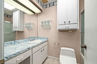 Welcome to this beautifully updated home in the heart of Fort - photo 40