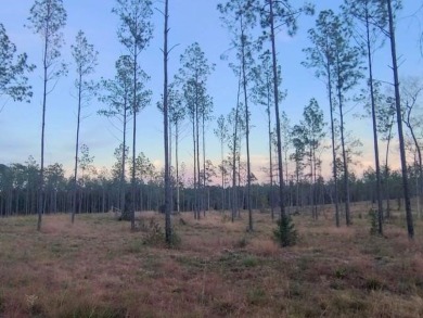 Your search is over! Secluded Waterfront, water view and water - Lake Lot For Sale in Brookeland, Texas