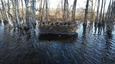 (private lake, pond, creek) Acreage For Sale in Widener Arkansas