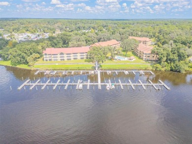 Lake Condo For Sale in Welaka, Florida