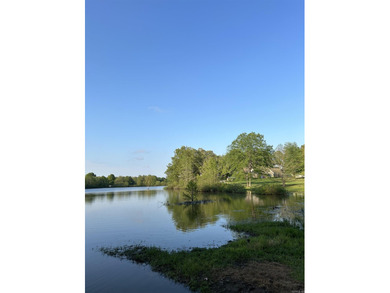 (private lake, pond, creek) Acreage For Sale in Piggott Arkansas