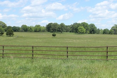 (private lake, pond, coastal) Home For Sale in Thayer Missouri