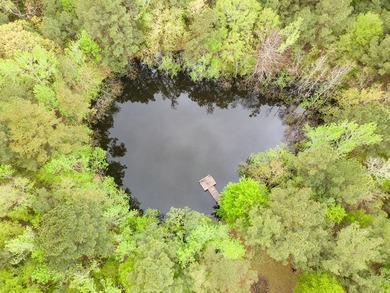 (private lake, pond, creek) Acreage For Sale in Pineland Texas