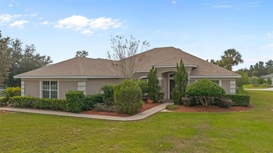 Black Bear Lake  Home Sale Pending in Eustis Florida