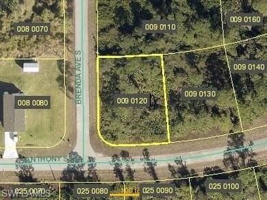 Lehigh Acres Area Lot For Sale in Lehigh Acres Florida