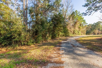 UNRESTRICTED Rayburn Country Area. That's right you read it - photo 4