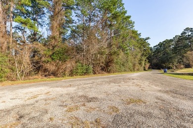 UNRESTRICTED Rayburn Country Area. That's right you read it - photo 6