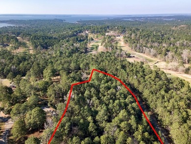 UNRESTRICTED Rayburn Country Area. That's right you read it - photo 8