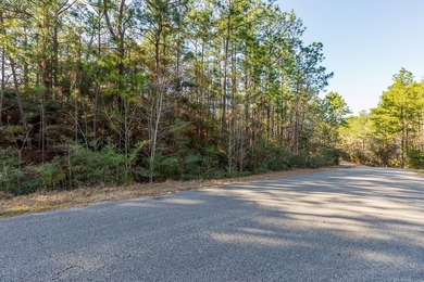 UNRESTRICTED Rayburn Country Area. That's right you read it - photo 9