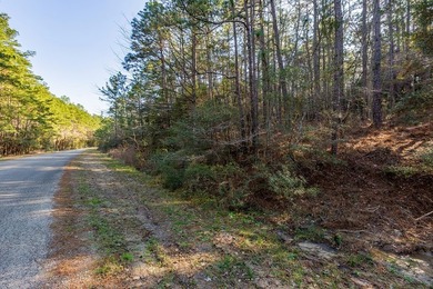 UNRESTRICTED Rayburn Country Area. That's right you read it - photo 10