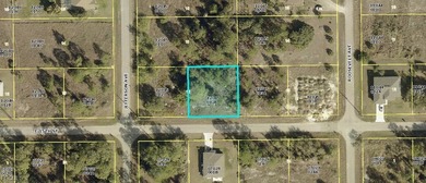 Lehigh Acres Area Lot For Sale in Lehigh Acres Florida