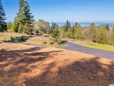 BIG water views and elbow room in one of Sequim's finest - photo 11
