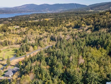 BIG water views and elbow room in one of Sequim's finest - photo 12