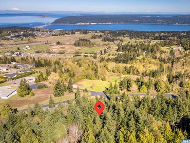 BIG water views and elbow room in one of Sequim's finest - photo 13