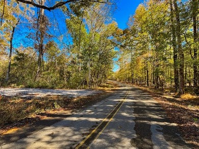 If you are looking for a serene recreational retreat with - photo 4