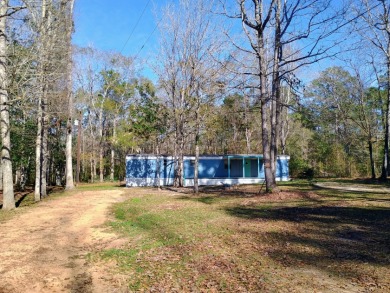 Private Lake Community, Older Mobile Home SOLD - photo 28