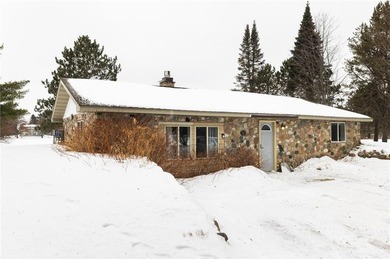 Spider Lake Home For Sale in Nevis Minnesota