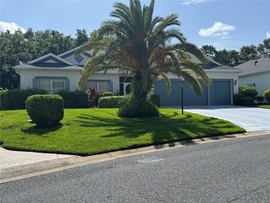 Sawgrass Lake Home For Sale in Leesburg Florida