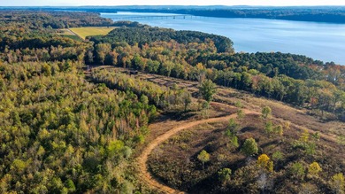 This tract offers a combination of stunning Tennessee River - photo 2