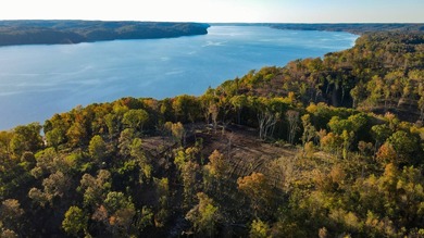 This tract offers a combination of stunning Tennessee River - photo 4