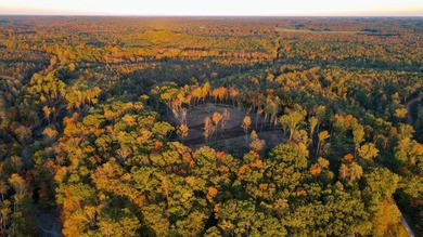 This tract offers a combination of stunning Tennessee River - photo 5