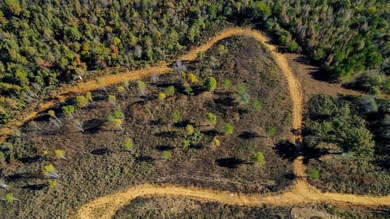 This tract offers a combination of stunning Tennessee River - photo 6
