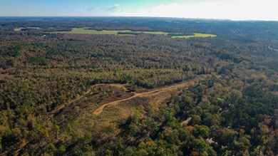This tract offers a combination of stunning Tennessee River - photo 7