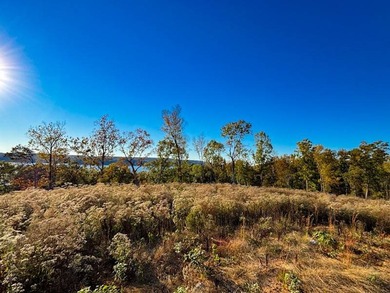 This tract offers a combination of stunning Tennessee River - photo 8