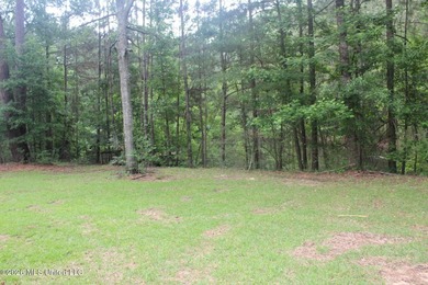 Spacious country living with room to grow! This well-maintained - photo 11