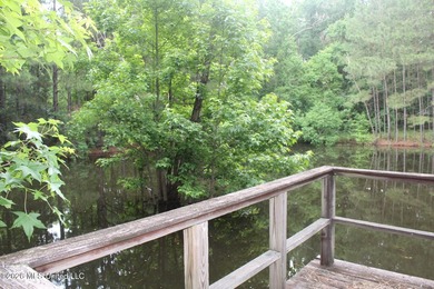 Spacious country living with room to grow! This well-maintained - photo 13