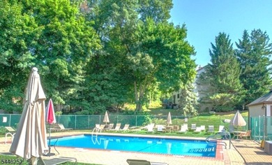 A MUST SEE BEAUTIFULLY RENOVATED 1 BEDROOM, 1 FULL BATH UNIT - photo 16