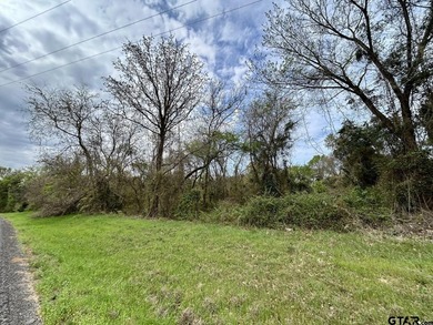 Prime 2.74 acres in Leesburg, TX just minutes from Downtown - photo 1