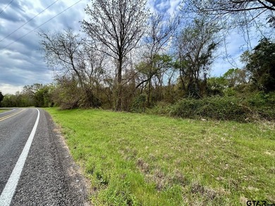 Prime 2.74 acres in Leesburg, TX just minutes from Downtown - photo 2