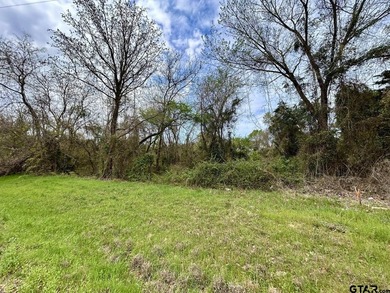 Prime 2.74 acres in Leesburg, TX just minutes from Downtown - photo 3