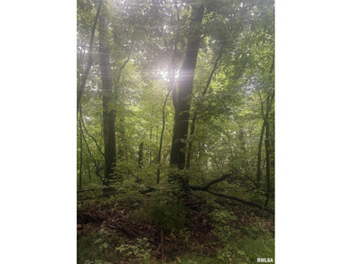 Secluded wooded acreage with private lake views in the IVC - photo 25
