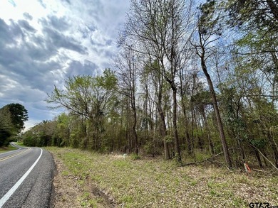 Prime 4.93 acres in Leesburg, TX just minutes from Downtown - photo 1