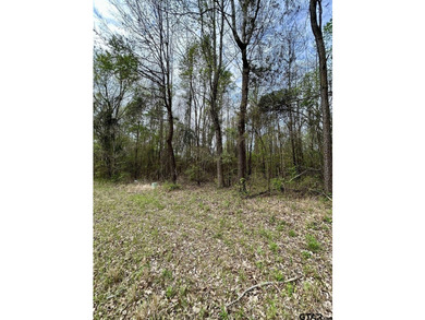 Prime 4.93 acres in Leesburg, TX just minutes from Downtown - photo 2