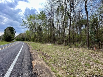 Prime 4.93 acres in Leesburg, TX just minutes from Downtown - photo 3
