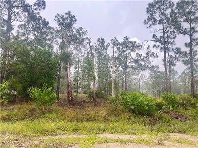 Lehigh Acres Area Lot For Sale in Lehigh Acres Florida