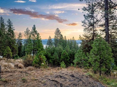 Gorgeous ~1.82 acre View Lot in Garden Valley is ready to build - photo 11