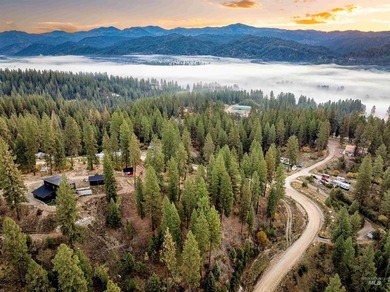 Gorgeous ~1.82 acre View Lot in Garden Valley is ready to build - photo 18